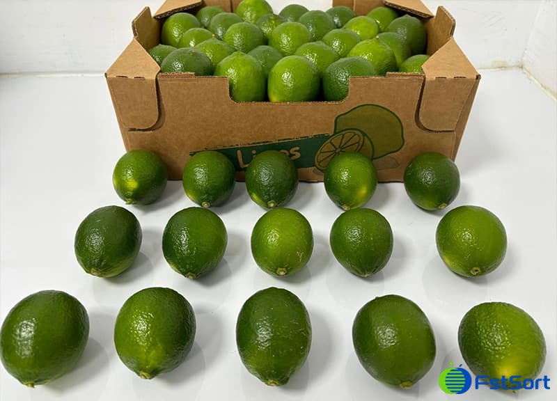 images/1733814743661limes garding machine.jpg
